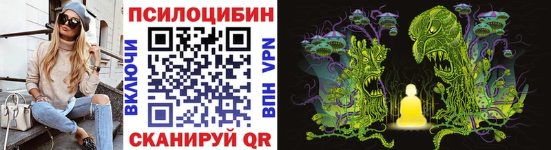 площадка телеграм  Ладушкин  Псилоцибиновые грибы GOLDEN TEACHER 